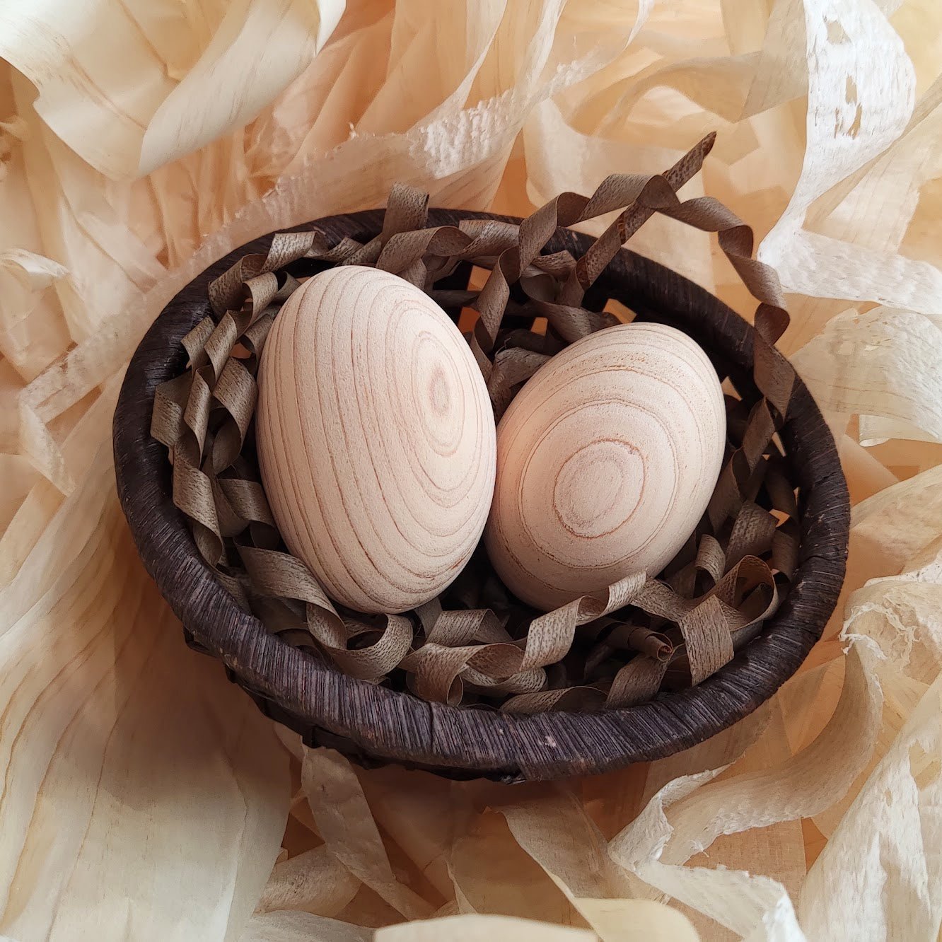 森の恵みセット